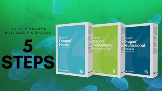 used dragon naturally speaking software